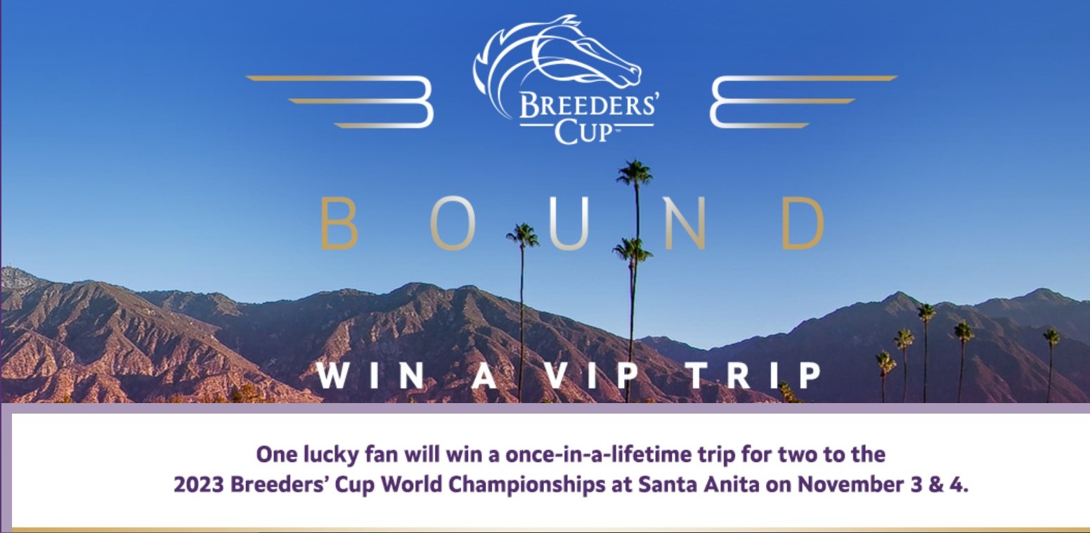 A VIP trip to Santa Anita