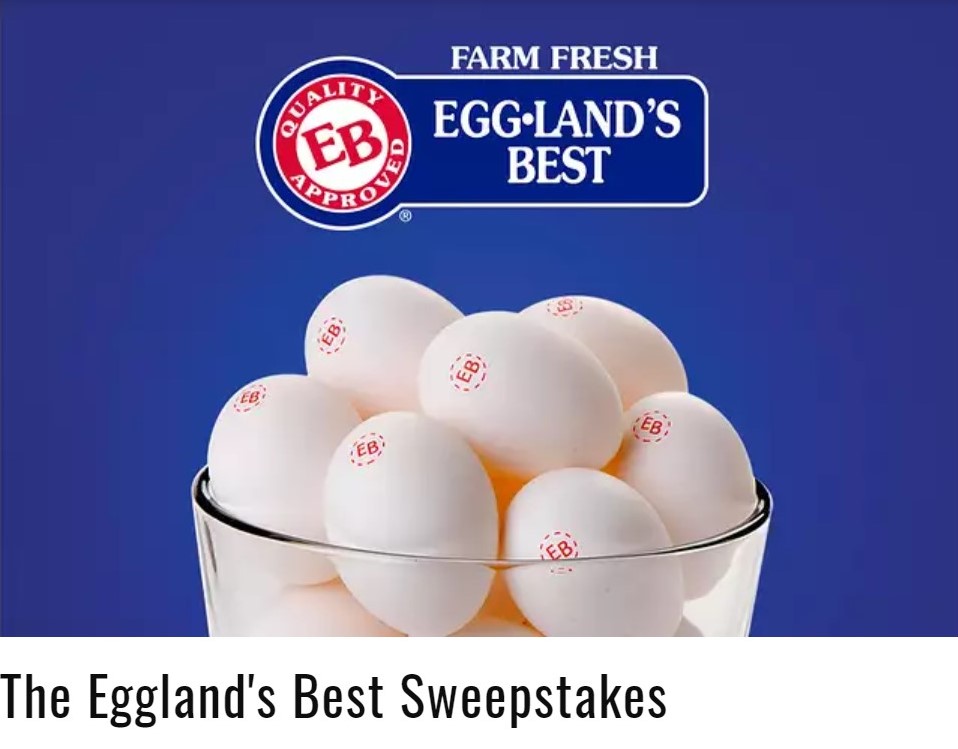 Enter to win $1,000 Cash